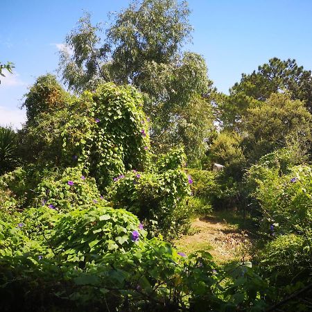 Villa Griseor Porto-Vecchio  Eksteriør billede