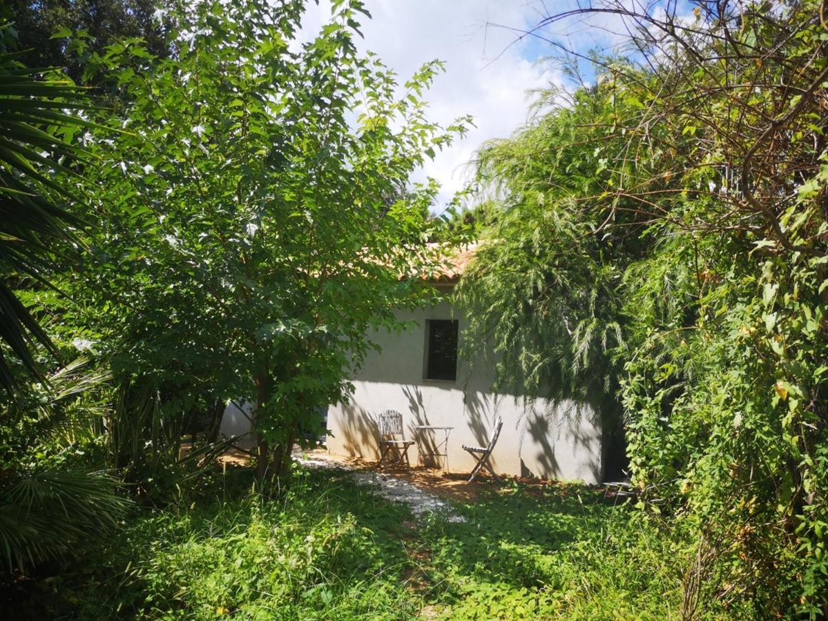 Villa Griseor Porto-Vecchio  Eksteriør billede