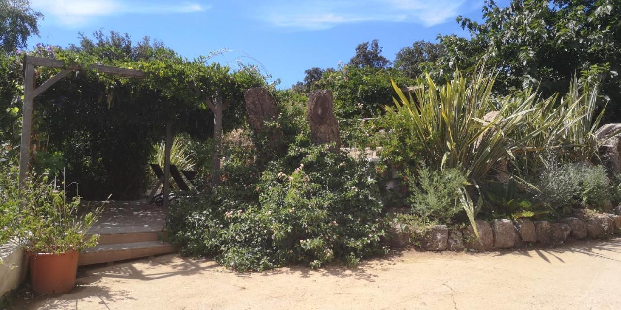 Villa Griseor Porto-Vecchio  Eksteriør billede