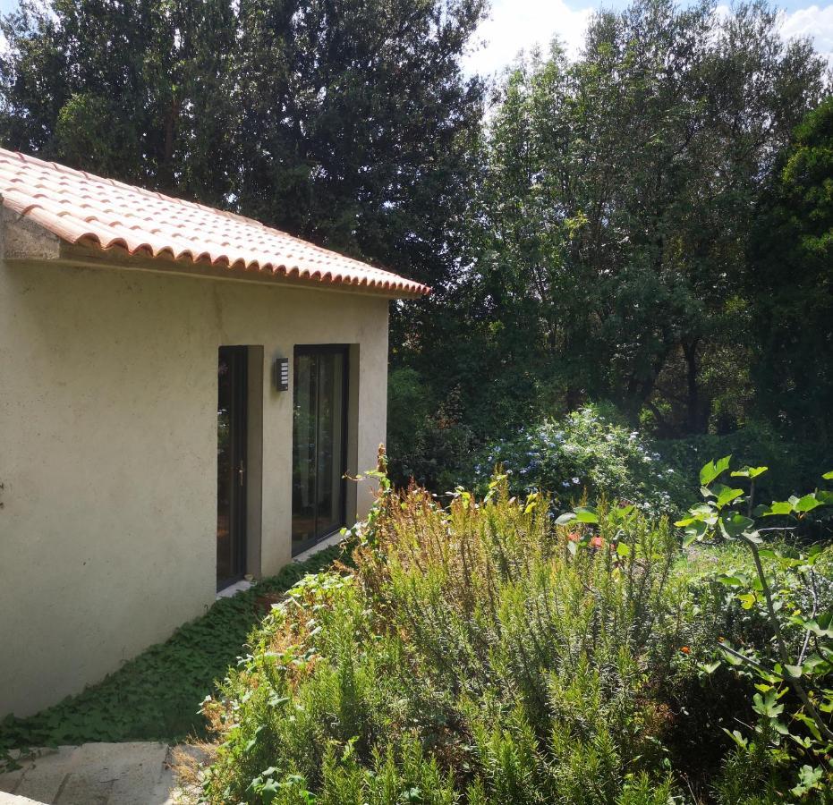 Villa Griseor Porto-Vecchio  Eksteriør billede